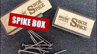 Командная головоломка SPIKE BOX