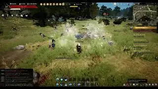 Black Desert Online, 2021. BDO