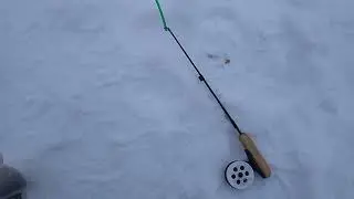 Щучка бонус