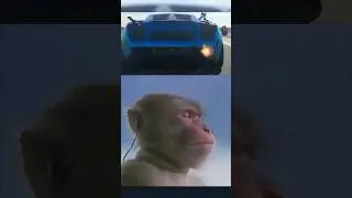 The Best Lamborghini Sound🤤