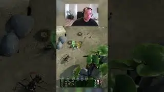 Ant army vs 4 Beetles #shorts