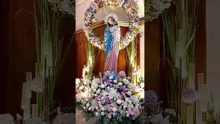 Our Lady of Beautiful Love salamat sa mga biyaya #saint #pray #devotee #catholicfaith #faith #short