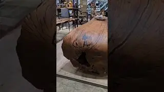 Table made of slab or log? 🤔😉😁