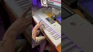Shreds Over Everything #edmproducer #synth #piano