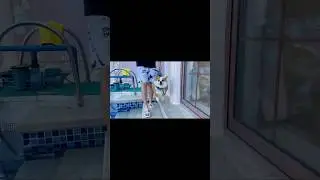#shorts