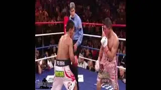 MANNY PACQUIAO | TOP 3 BRUTAL KNOCKOUTS HD #shorts #highlights #knockout