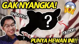 GA NYANGKA BISA BELI HEWAN INI!! PELIHARAAN BARU DAN HARGANYA!! KASIH NAMA SIAPA NIH??!