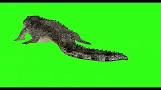 Crocodile Green Screen