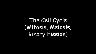 The Cell Cycle (Mitosis, Meiosis, Binary Fission)