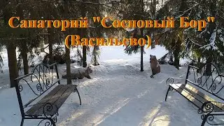 Зимний лес (поселок Васильево, республика Татарстан [2023])