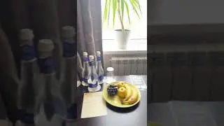 Добрались до Кемерово.  #video #shortvideo