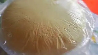 🍞guardar masa de PAN en el REFRIGERADOR❄️
