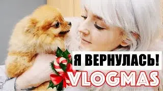 VLOGMAS: LAST DAY IN MUNICH AND HOME! I'M BACK! JOY FOR GRETTA