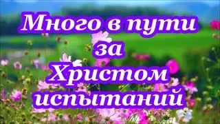 Много в пути за Христом испытаний