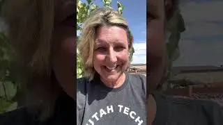 Entrepreneurial Marketing Update - Summer 2023
