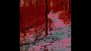 eclipsextape - notorious (ep)