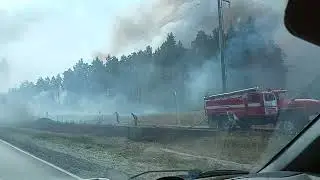 Лесной пожар вдоль трассы А-108 вблизи города Куровское. 27.08.2022 года