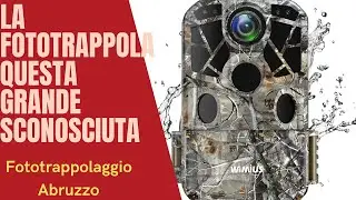 How does a camera trap work, and what are its characteristics.
