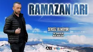 Ramazan Arı - Sensiz Olmuyor
