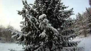 На лыжах вдоль поля (выход в лес)
