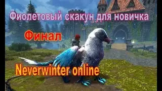 Neverwinter online.Грифон для новичка. Финал.