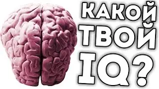 Какой у меня IQ?