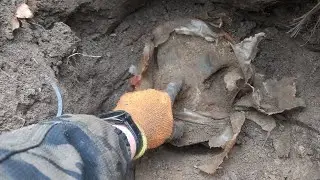 Отличный металл на выбитом МЕСТЕ!!!