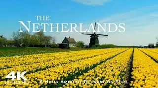 NETHERLANDS 🇳🇱 Nederland Drone Aerial 4K | 6 Hour Ambient Relaxation of Holland 