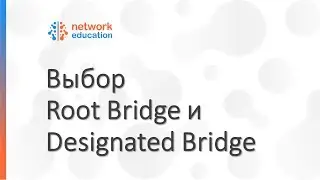 STP Protocol - Root Bridge and Designated Bridge Selection