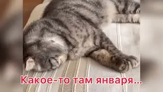 Можно я уже посплю?!
