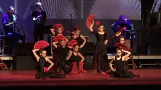 FLAMENCO |  Y'OLÉ école de danse à Strasbourg