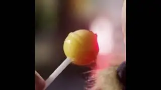 Семья Павловых в прямом эфире!