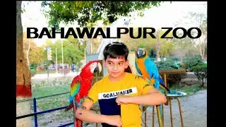 Bahawalpur Zoo | Chidriya Ghar | Leisure Time | T-interest