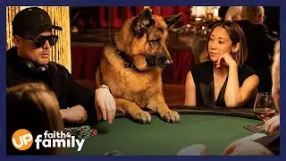 Hudson & Rex - Episode 414 Sneak Peek