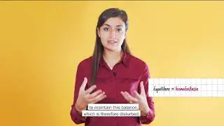 Lazy:  An Adjective that Fits to the Skin? (Novexpert)