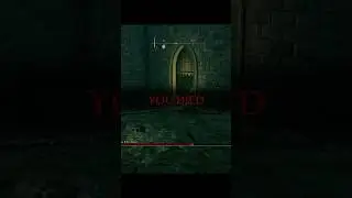 The life of a Elden Ring NOOB