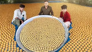 WORLD RECORD: 11,000 Laddus Made in 2 Hours! | Fastest Sweet Making Ever