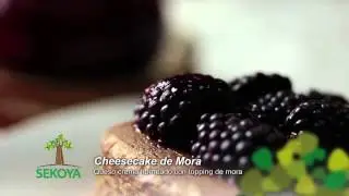 Sekoya Postres cheesecake mora