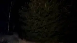 ,снежок... Кружится.  Не падая на землю