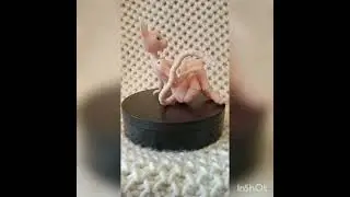 BJD Doll sphinx cat girl/ БЖД кукла девушка кошка сфинкс