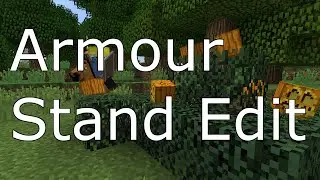 Armour Stand Edit - WoopaGaming