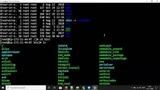 Types of Users In Linux And Practice Terminal commands