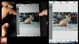 Mobile Photography: Logo Placement on Photo Using Free Apps