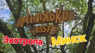 Экотропа "Малявки " в Минске. Кто живёт в кустах? Красивейшие места и увлекательная прогулка.
