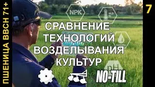 Озимая пшеница - дискование, вспашка, ноу тилл
