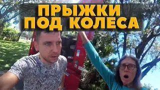 Пожилые приставания / Стал первым обладателем IPhone 14 / Ленивый заказчик
