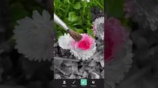 Ідея для фото з пензликом в PicSart