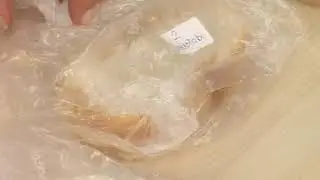 Fen Deneyleri - Mantarlar Nerede?
