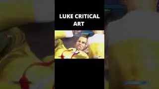 LUKE CRITICAL ART - SF6