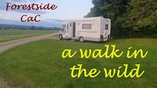 A walk in the wilds